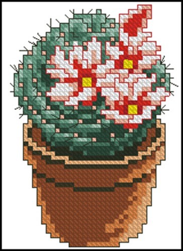 Cactus in a Pot 3