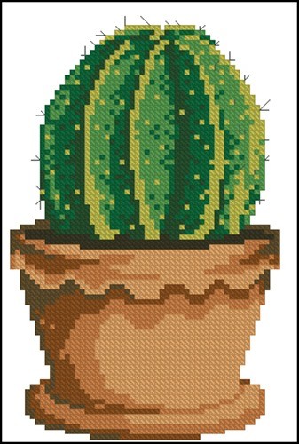 Cactus in a Pot 12
