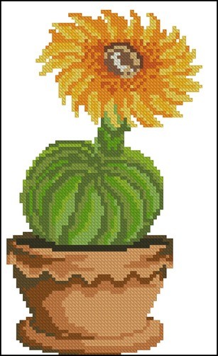 Cactus in a Pot 13