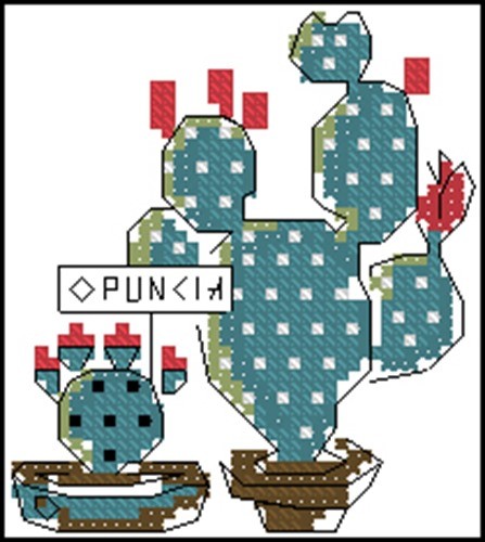 Prickly Pear Cacti in Pots