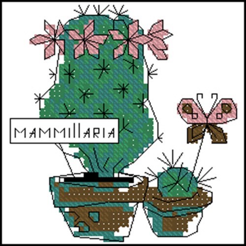 Mammillaria Cactus and Butterfly
