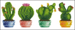 Cactus Pot Cactus Pot