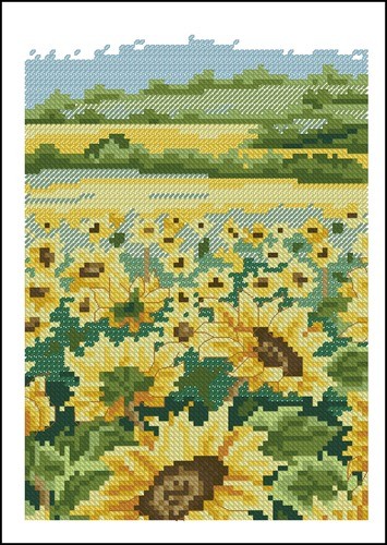 Sunflower Field