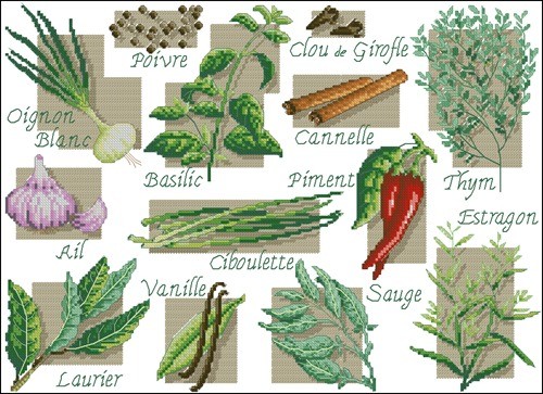 Spices Sampler