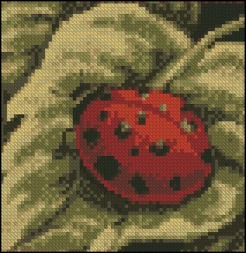 Red Ladybug Resting on Green Leaf