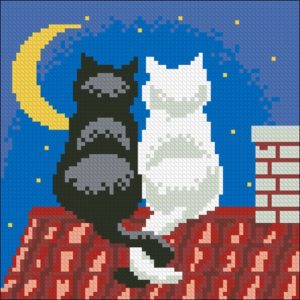 Night Time Cats Cushion Front Night Time Cats Cushion Front