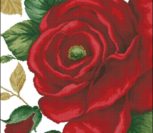 41103 Rose Red 41103 Rose Red