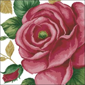 41103 Rose Pink 41103 Rose Pink