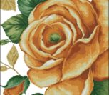 41103 Rose Yellow 41103 Rose Yellow