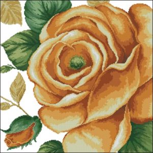 41103 Rose Yellow 41103 Rose Yellow