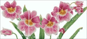 Триптих Cymbidium 100818