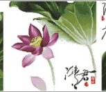 Flower-148 Qing Jun Flower-148 Qing Jun