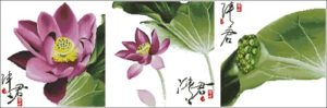 Flower-148 Qing Jun Flower-148 Qing Jun