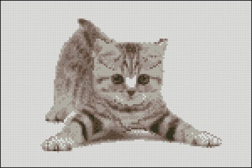 Игривый котенок
