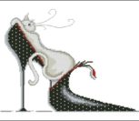 Cat in black shoe Cat in black shoe