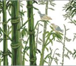 Bamboo (Бамбук) Bamboo (Бамбук)