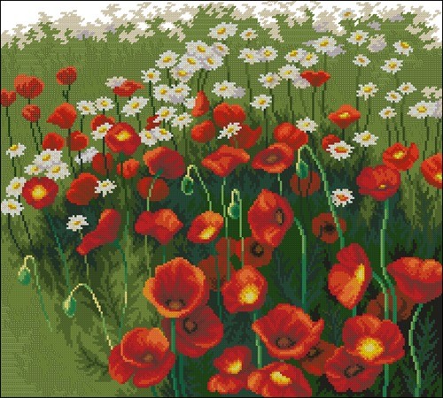Red Poppies and Daisies Meadow