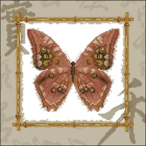 Морфо амфитрион БС-002