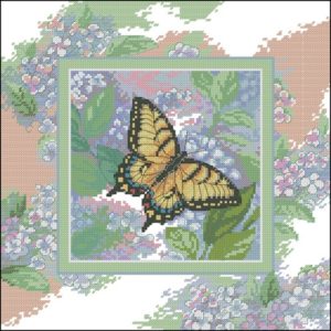 Butterfly Whisper Butterfly Whisper