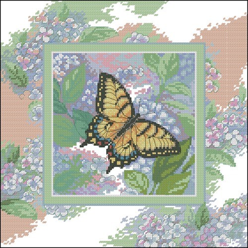 Butterfly Whisper