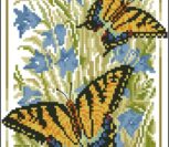 Butterflies Mahaon Butterflies Mahaon