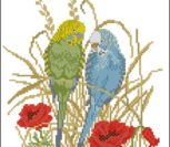 Eva Rosenstand - 12994 Budgerigar Eva Rosenstand - 12994 Budgerigar