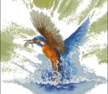 Kingfisher in Flight Kingfisher in Flight