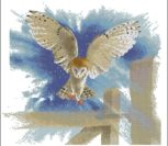 Owl in Flight Owl in Flight