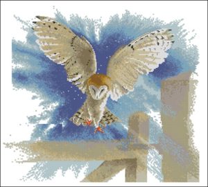 Owl in Flight Owl in Flight