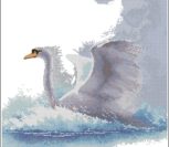 Swan in Flight Swan in Flight