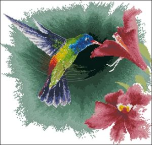 Hummingbird in Flight Hummingbird in Flight