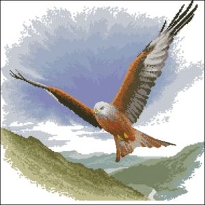 Red Kite in Flight Red Kite in Flight