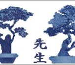 Blue Bonsai Blue Bonsai