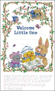Welcome Little One Birth Record Welcome Little One Birth Record