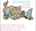 Kitten Birth Record Kitten Birth Record