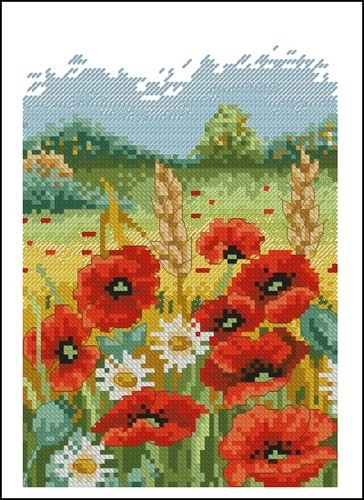 Poppy Field