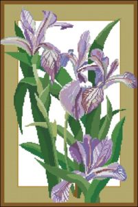 Purple Irises Purple Irises