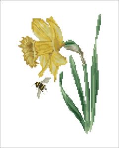 TG 1087 Daffodil