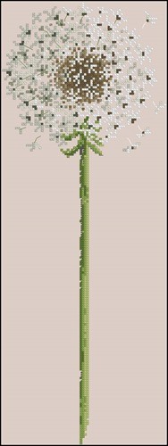 Dandelion Flower