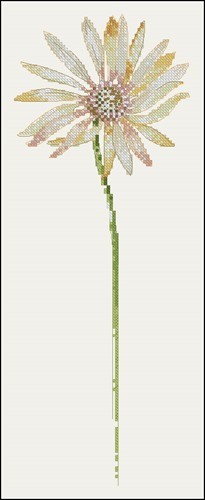BK050 Daisy