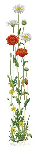 Eva Rosenstand - 13211 - Poppy