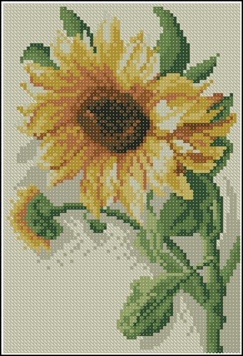 Sunflower with Bud