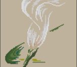 DMC - Arum Lily DMC - Arum Lily
