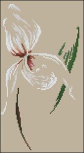 DMC - Orchid DMC - Orchid
