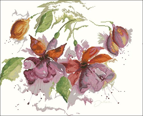 Fuchsia in Watercolour