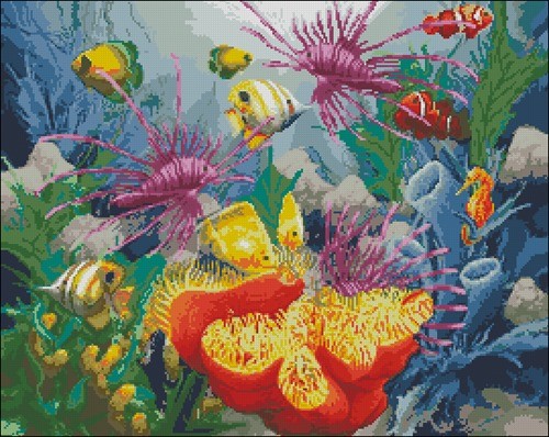 Мальдивы Море
