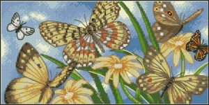 Butterfly Vignette
