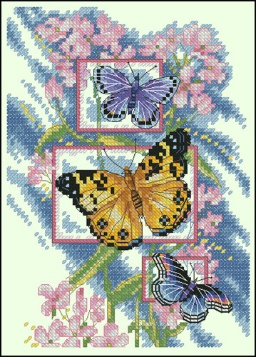 Blossoms & Butterflies