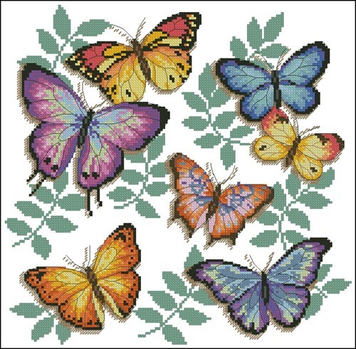 Butterfly profusion Dimensions