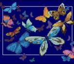 Exotic Butterflies 290033